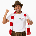 World Cup 2026 T-Shirt | Algeria vs Austria | Group Stage Soccer Tee | Unisex Fan Gift